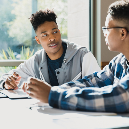 Teenage Boys Studying