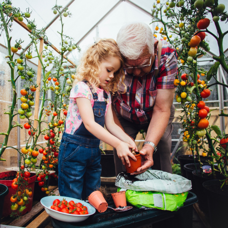 Grandparent And Grandchild Potting Tomatoes
