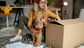 Moving House With Dog
