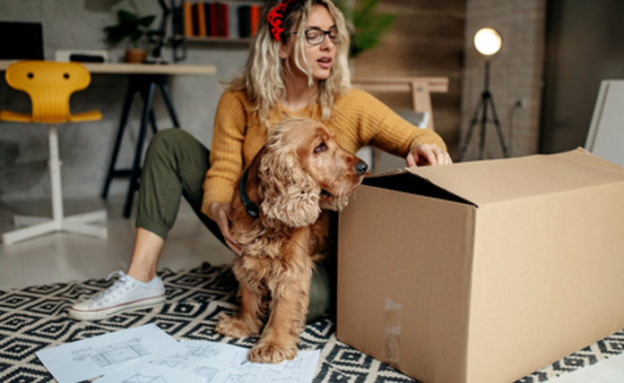 Moving House With Dog