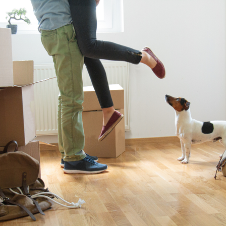 Jumping Joy Moving House