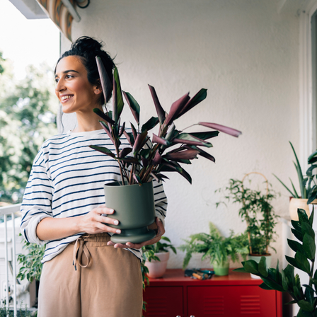 Lady With Plants