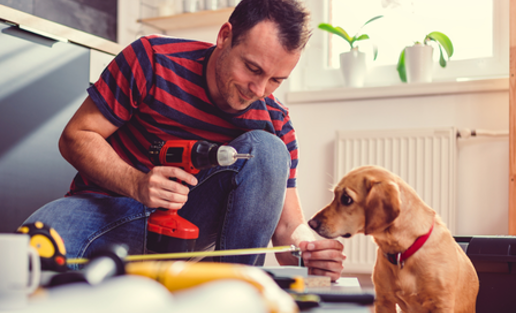 Man And Dog Diy