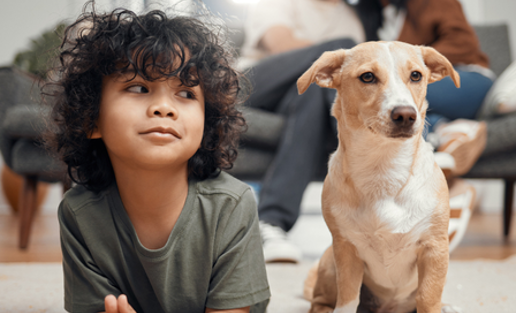 Little Boy And His Dog