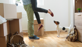 Jumping Joy Moving House