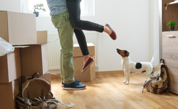 Jumping Joy Moving House