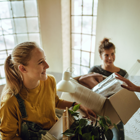 Flatmates Are Moving house