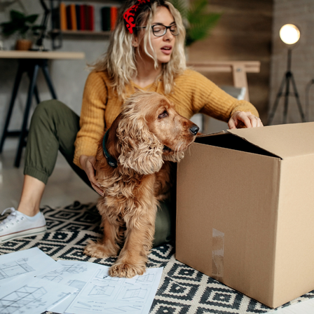 Moving House With Dog